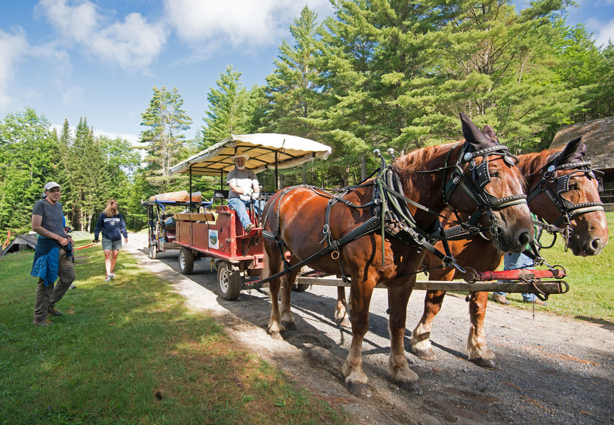 1 larry's carriage at the farm lr.jpg